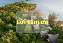 Lời Cảm Ơn Lời Cảm Ơn
