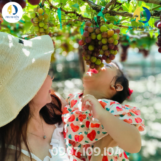 TOUR BÌNH HƯNG - VĨNH HY 2 NGÀY 2 ĐÊM - TỪ TP. HỒ CHÍ MINH