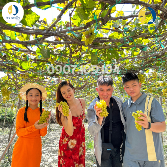 TOUR BÌNH HƯNG - VĨNH HY 2 NGÀY 2 ĐÊM - TỪ TP. HỒ CHÍ MINH