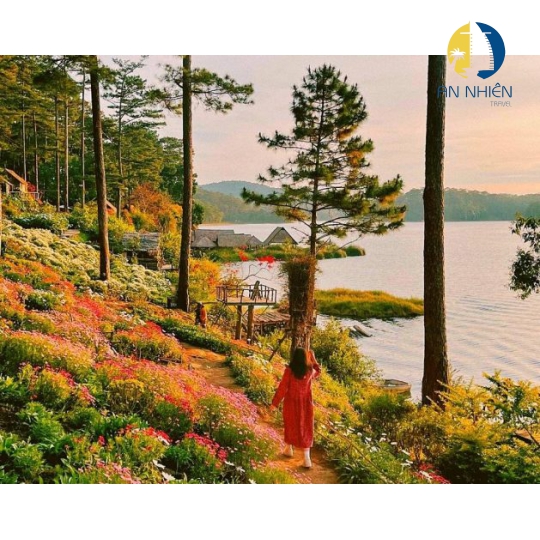 TOUR ĐÀ LẠT 3 NGÀY 3 ĐÊM XE GIƯỜNG NẰM 