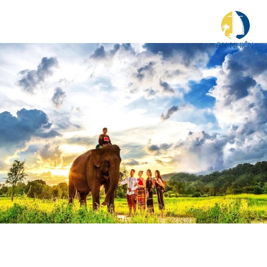 TOUR MĂNG ĐEN - TÂY NGUYÊN ĐẠI NGÀN 3 NGÀY 3 ĐÊM XE GIƯỜNG NẰM