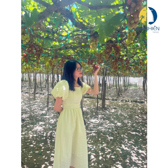 Tour Phan Thiết 2 Ngày 1 Đêm Giá Rẻ - HẰNG TUẦN
