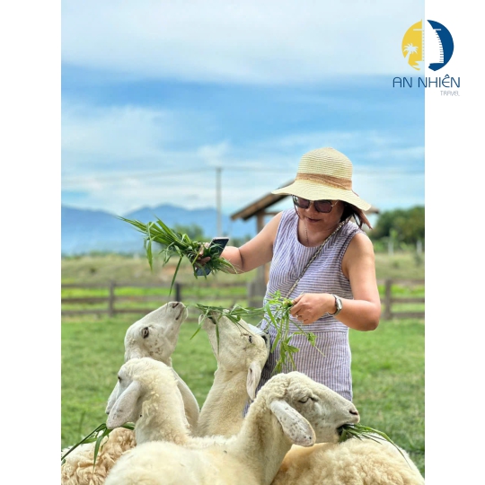 TOUR BÌNH BA - BÌNH HƯNG 2N2D XE GIƯỜNG NẰM