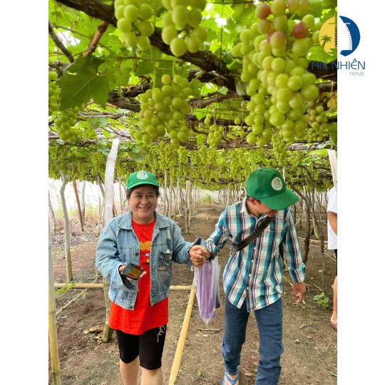 TOUR NHA TRANG 3 NGÀY 3 ĐÊM - XE GIƯỜNG NẰM