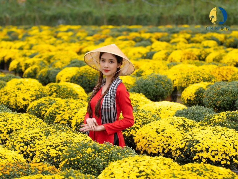 TOUR LÀNG HOA SA ĐÉC - VƯỜN QUÝT HỒNG LAI VUNG - ĐỒNG THÁP 1 NGÀY TOUR LÀNG HOA SA ĐÉC - VƯỜN QUÝT HỒNG LAI VUNG - ĐỒNG THÁP 1 NGÀY